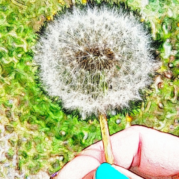 Meet your Posher, Julie Anne - Picture 2 of 8